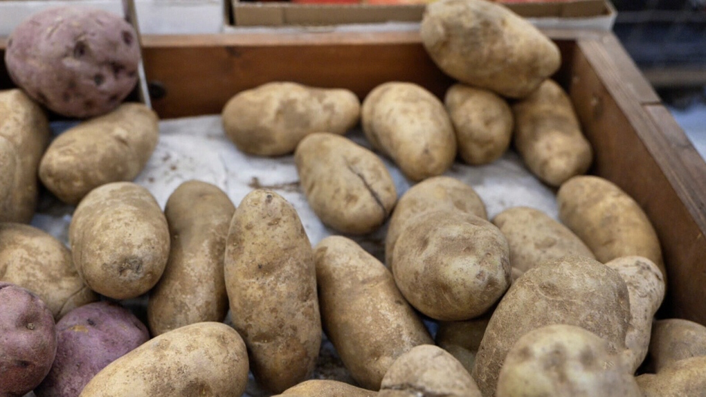 United States allows shipments of P.E.I. potatoes to resume to Puerto Rico