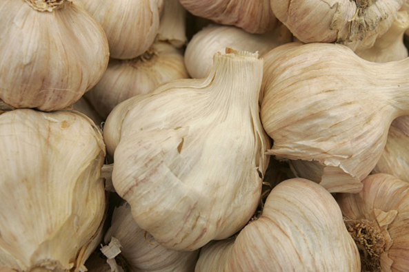 What is the most popular garlic food in the United States?
