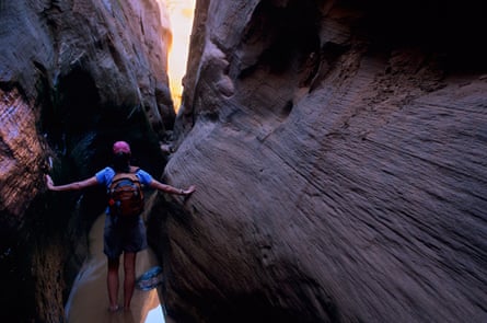 ‘A portion of paradise’: how the drought is bringing a lost US canyon back to life