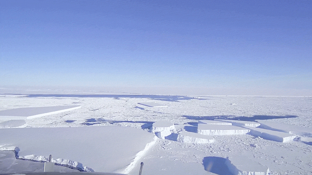 Antarctica has a lot less sea ice than usual. That's bad news for all of us