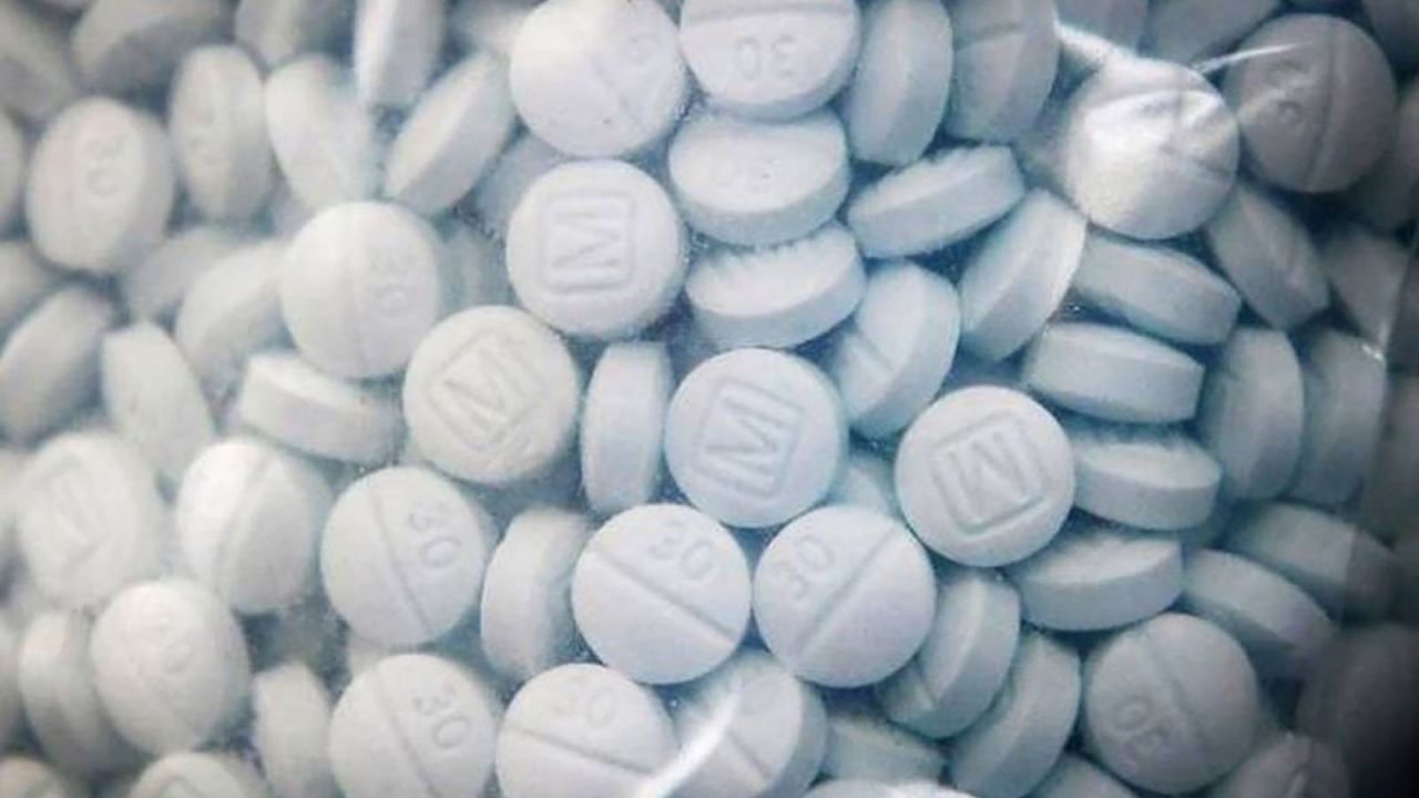 US overdose deaths continue their rise, data shows, with ‘devastating impact’ on population