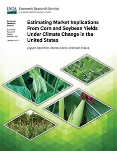 Estimating Market Implications From Corn and Soybean Yields Under Climate Change in the United States