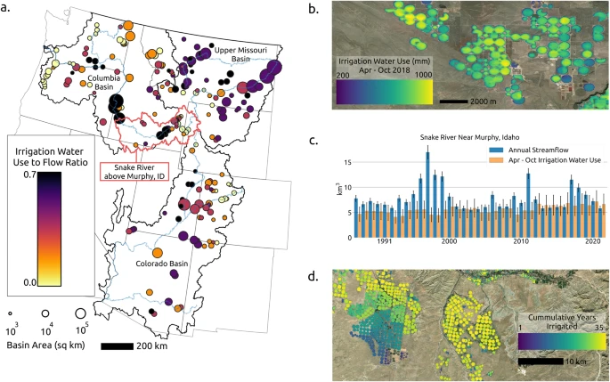 Irrigation intensification impacts sustainability of streamflow in the Western United States